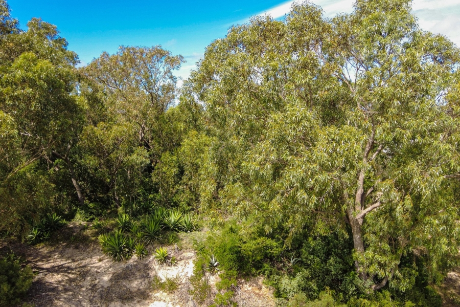 0 Bedroom Property for Sale in Brookes Hill Eastern Cape